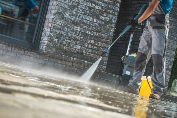 Best House Exterior Washing  in Farmington, MN