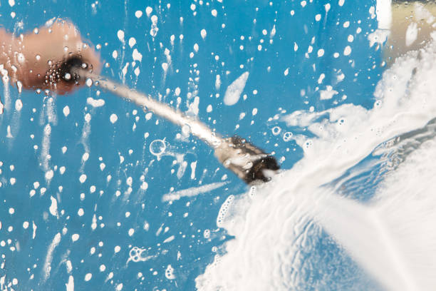 Best Animal Enclosure Cleaning  in Farmington, MN